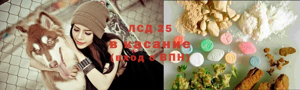 дмт Алзамай