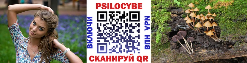 как найти наркотики  Кохма  Псилоцибиновые грибы прущие грибы 