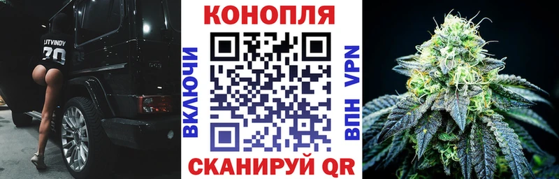 Шишки марихуана марихуана  Кохма 